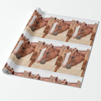 Horses nuzzling in a pasture wrapping paper
