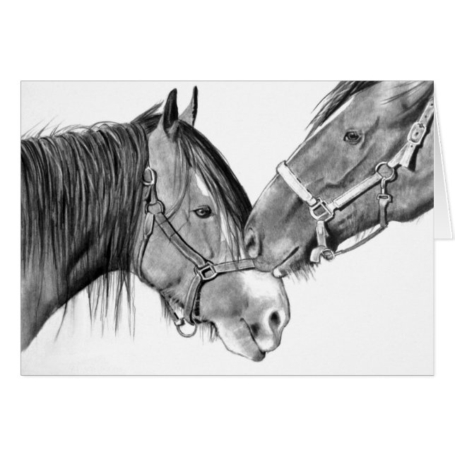 Horses Nuzzling: Original Pencil Drawing (Front Horizontal)