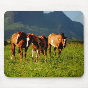 Horses of Kauai Mouse Mat