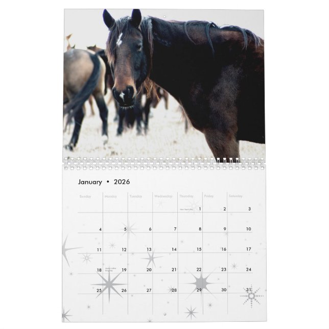 Horses of the Flint Hills Calendar (Jan 2026)