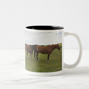 Horses On A Field Two-Tone Coffee Mug