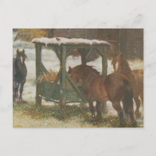 Horses on Christmas Day Holiday Postcard