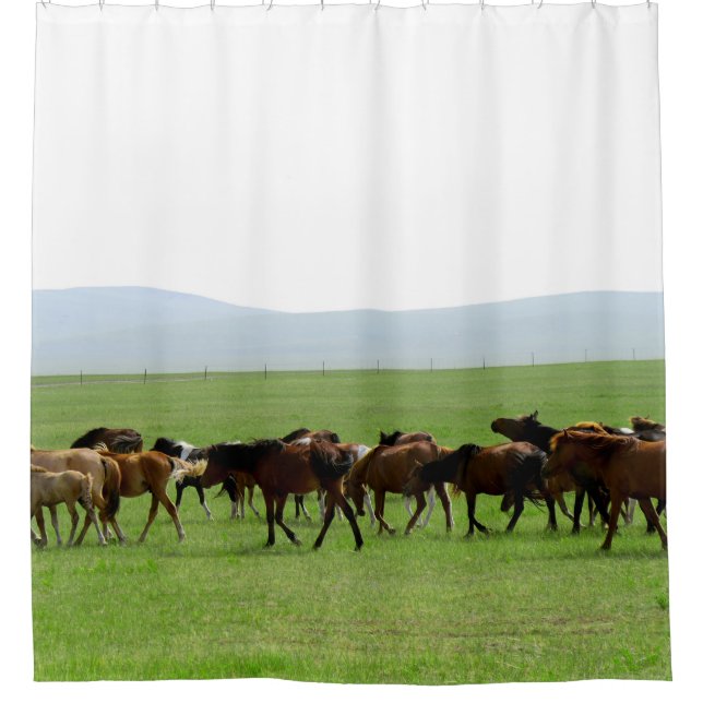 Horses on Grassland - Landscape Photograph Shower Curtain (Front)