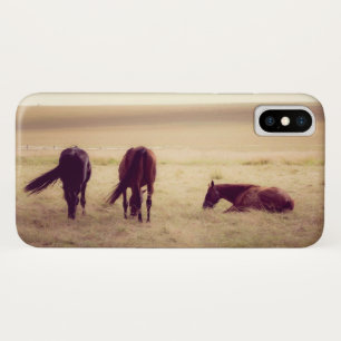 Horses on pasture 002 iPhone x case