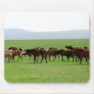 Horses on Pasture - Landscape Photograph Mouse Mat
