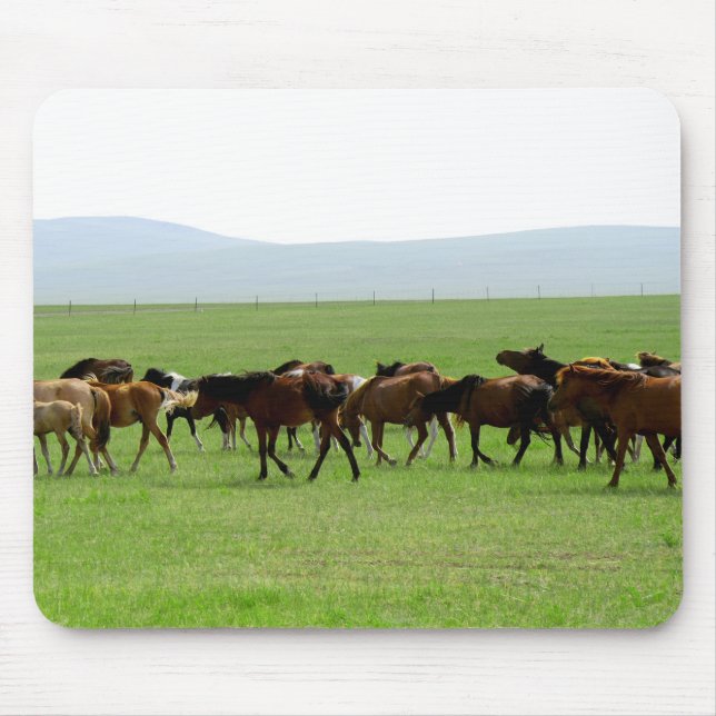 Horses on Pasture - Landscape Photograph Mouse Mat (Front)