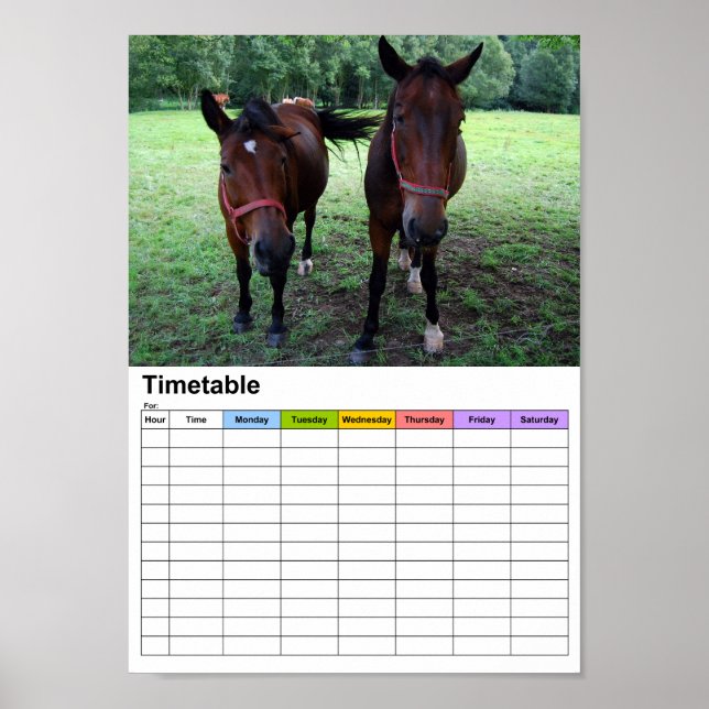 Horses on pasture / Timetable Poster (Front)