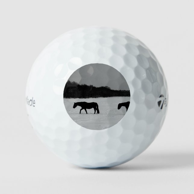 Horses On Snow tmtp5 gbcnm Golf Balls (Front)