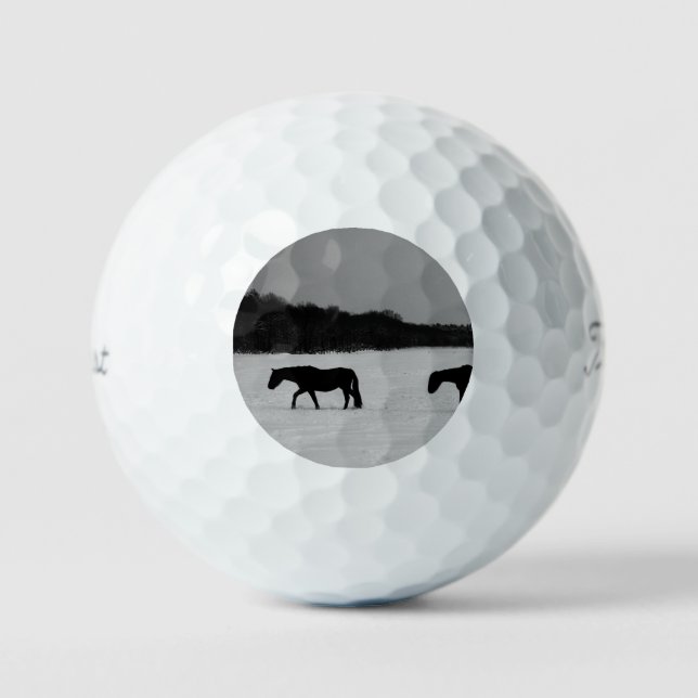 Horses On Snow tpv1 gbcnm Golf Balls (Front)