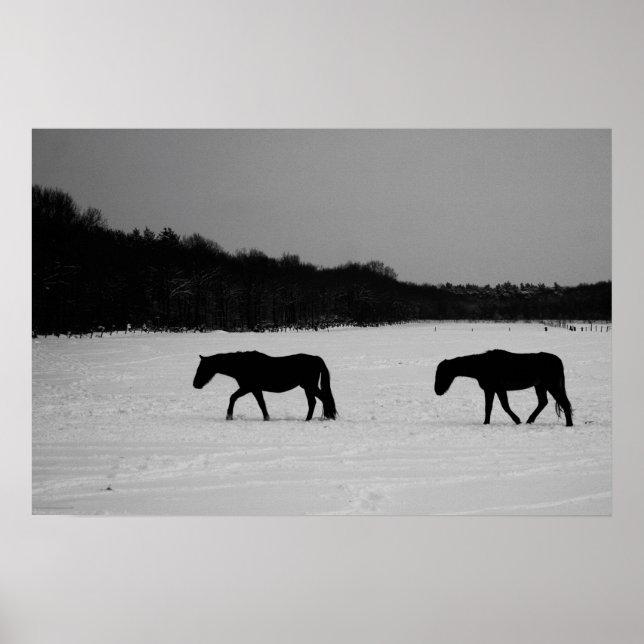 Horses On Snow wapcnm Poster (Front)
