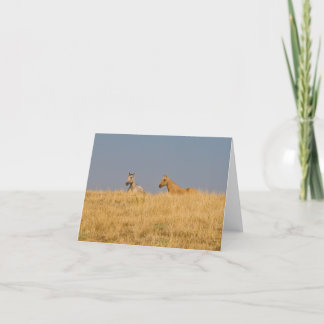 Horses on the Hill Card