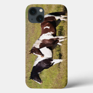 Horses on the hillside iPhone 13 case