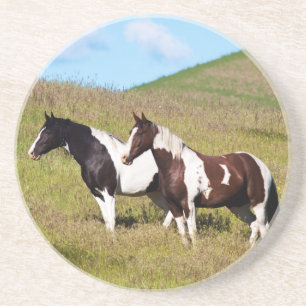Horses on the hillside coaster