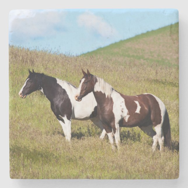 Horses on the hillside stone coaster (Front)