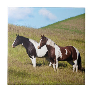 Horses on the hillside tile