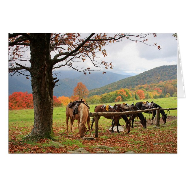 Horses on the Mountain (Front Horizontal)