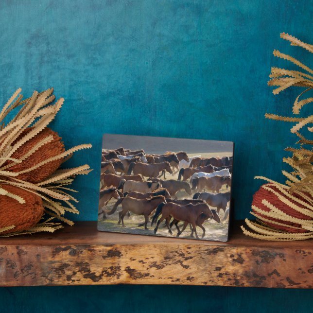 Horses on the ranch, Inner Mongolia, China Plaque (Side)