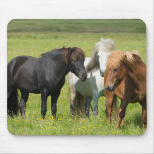 Horses on the Ranch, South Iceland Mouse Mat