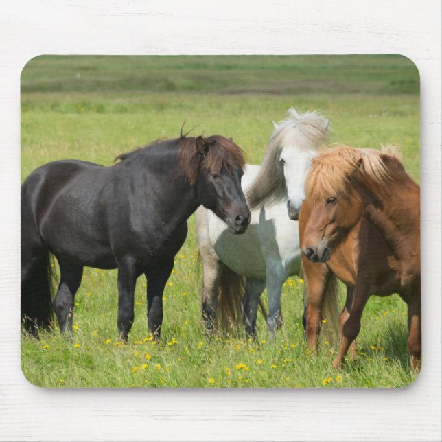 Horses on the Ranch, South Iceland Mouse Mat (Front)