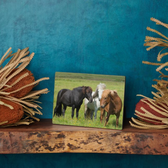 Horses on the Ranch, South Iceland Plaque (Side)
