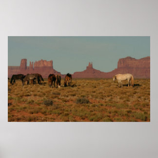 Horses on Western Range Poster