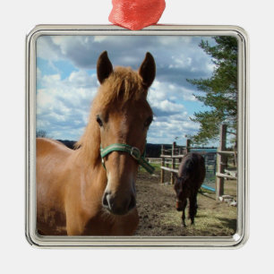 Horses ornament