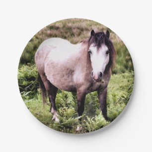 HORSES PAPER PLATE