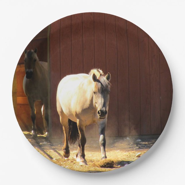 Horses Paper Plates (Front)
