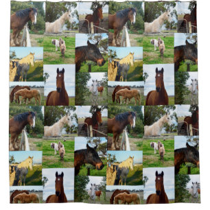 Horses Photo Collage Bathroom Shower Curtain