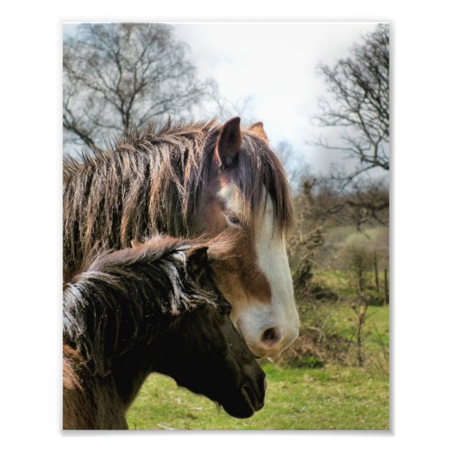 HORSES PHOTO PRINT (Front)