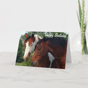 Horses Photograph Happy Birthday Card
