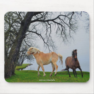 Horses Playing by Lake Animal Art Mousepad