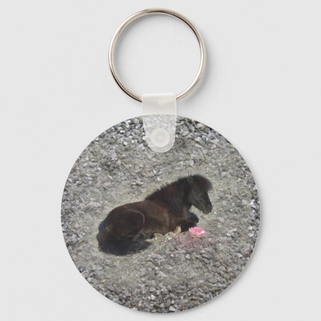 horses pony shetty animal minihorse key ring (Front)
