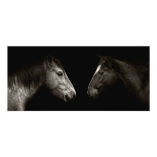 Horses portrait photo print