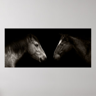 Horses portrait poster