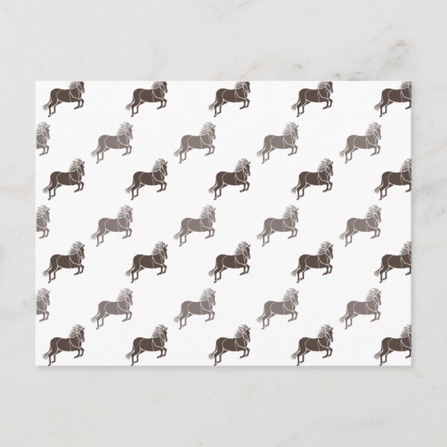 Horses Postcard (Front)