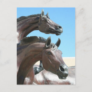 horses postcard