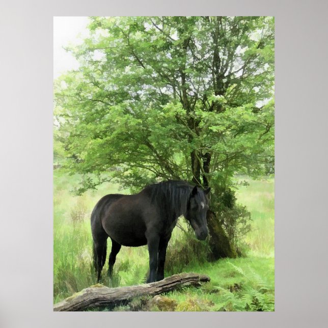 HORSES POSTER (Front)