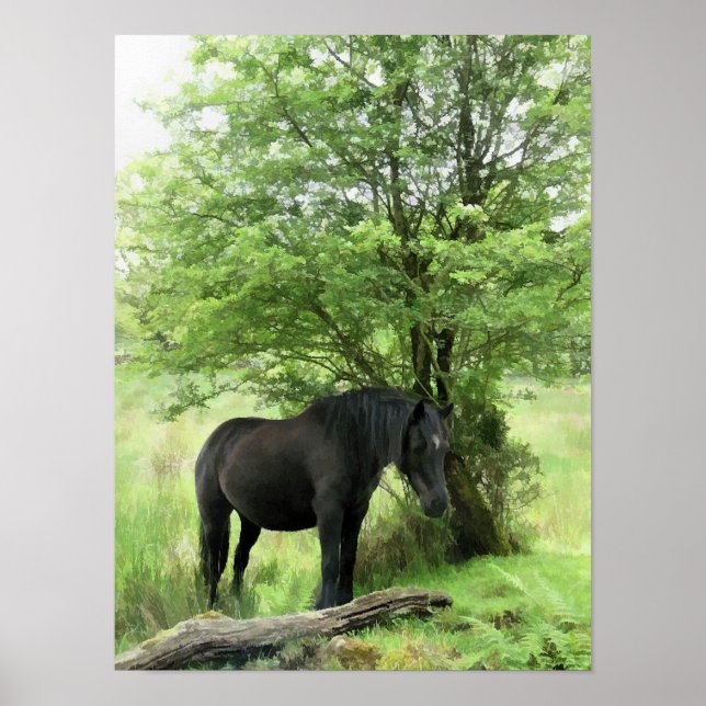HORSES POSTER (Front)