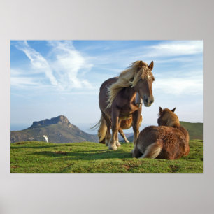 Horses Poster