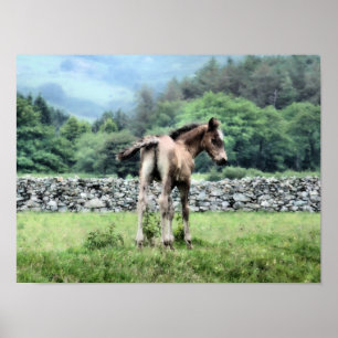 HORSES POSTER