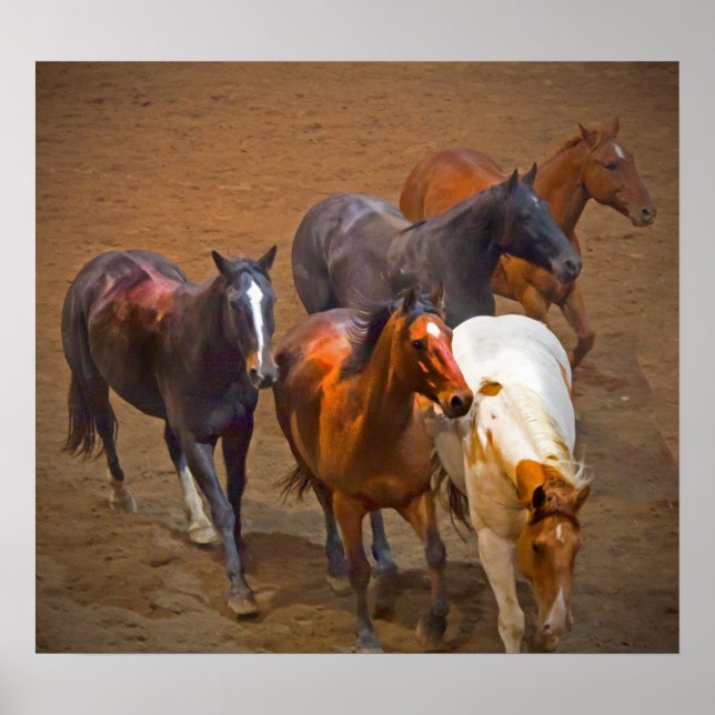 Horses Poster (Front)