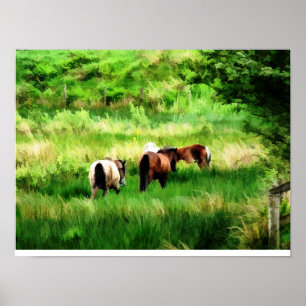 HORSES POSTER
