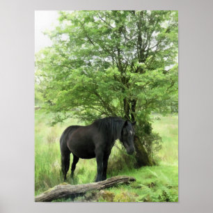 HORSES POSTER