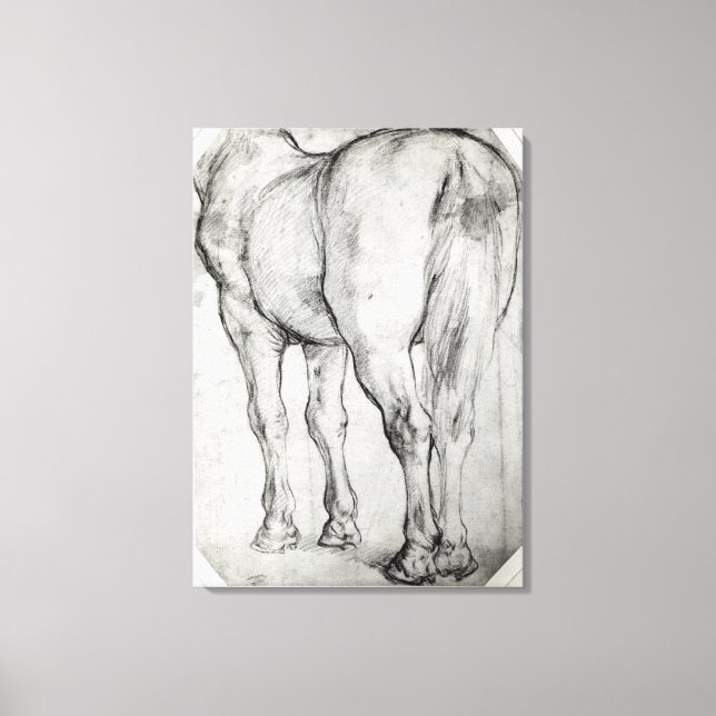 Horse's Rear Canvas Print (Front)