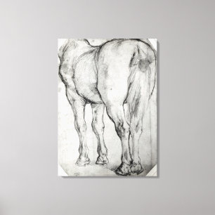 Horse's Rear Canvas Print