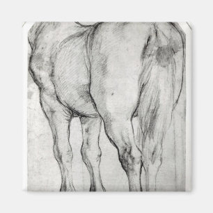 Horse's Rear Magnet