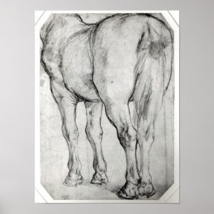 Horse's Rear Poster