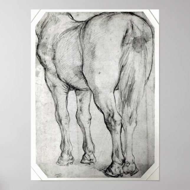 Horse's Rear Poster (Front)