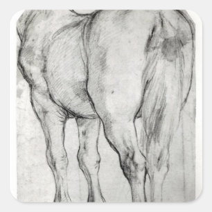 Horse's Rear Square Sticker